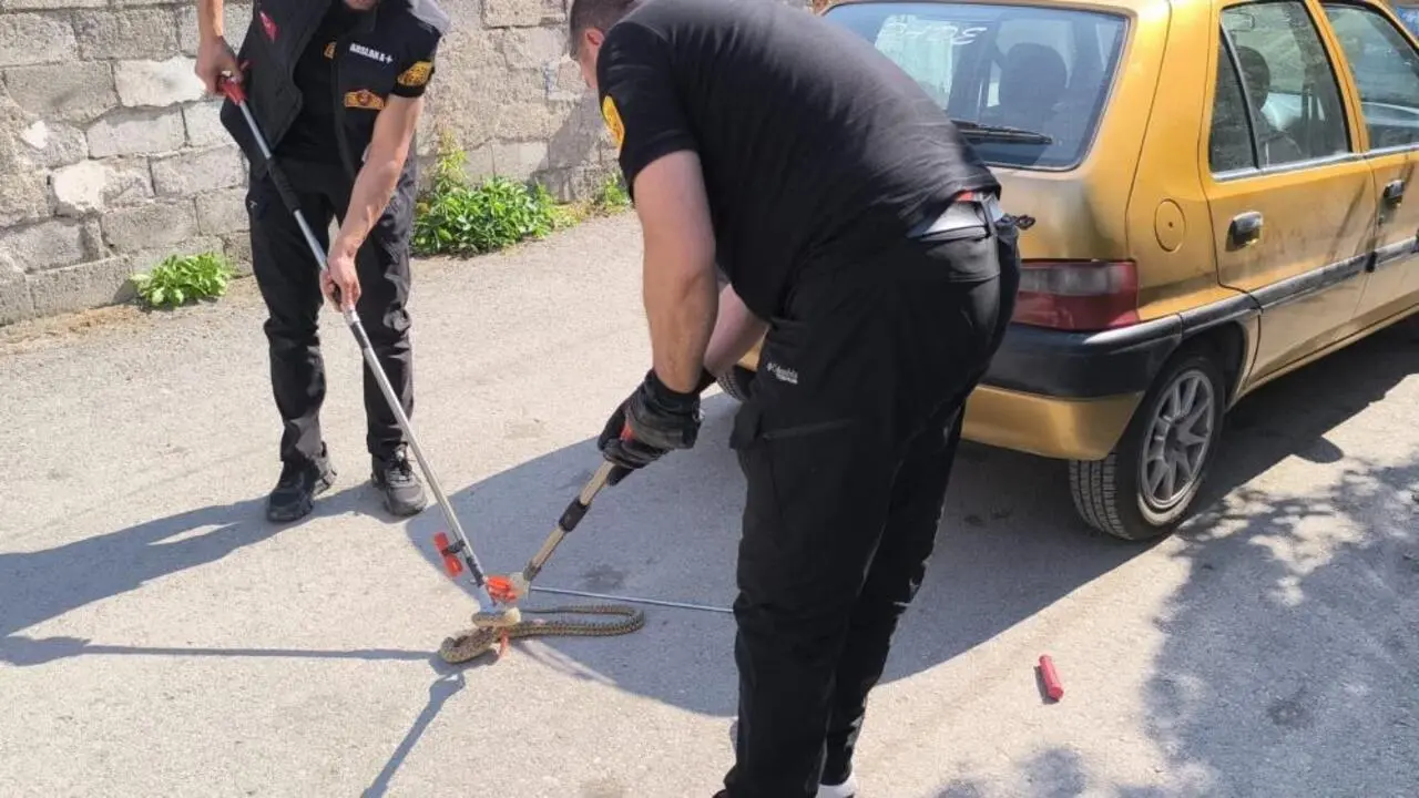 Genç Gazete Otomobilin Altına Giren Yılanı İtfaiye Çıkardı 1