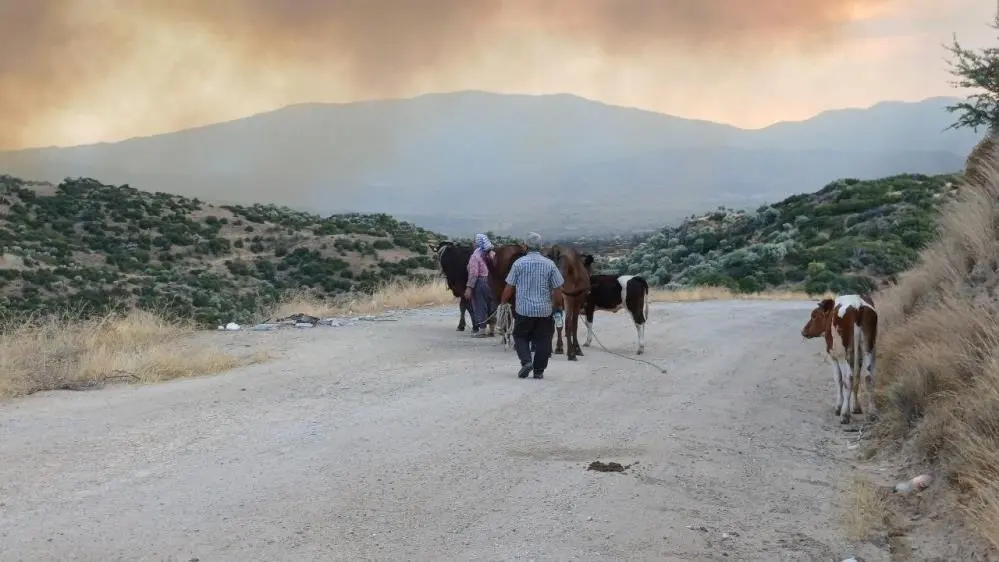 Genç Gazete Türkiye’nin Dört Bir Yanında Orman Yangınları Devam Ediyor (2)