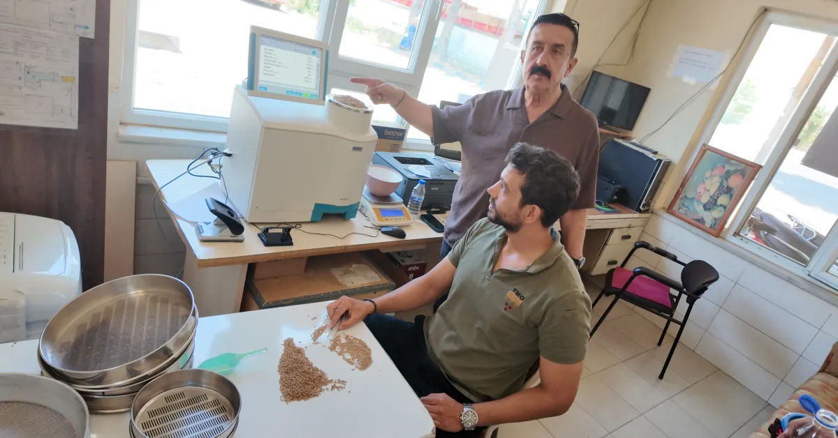 İnegöl’de Buğday Hasadı Başladı 50 Bin Ton Rekolte Bekleniyor (10)