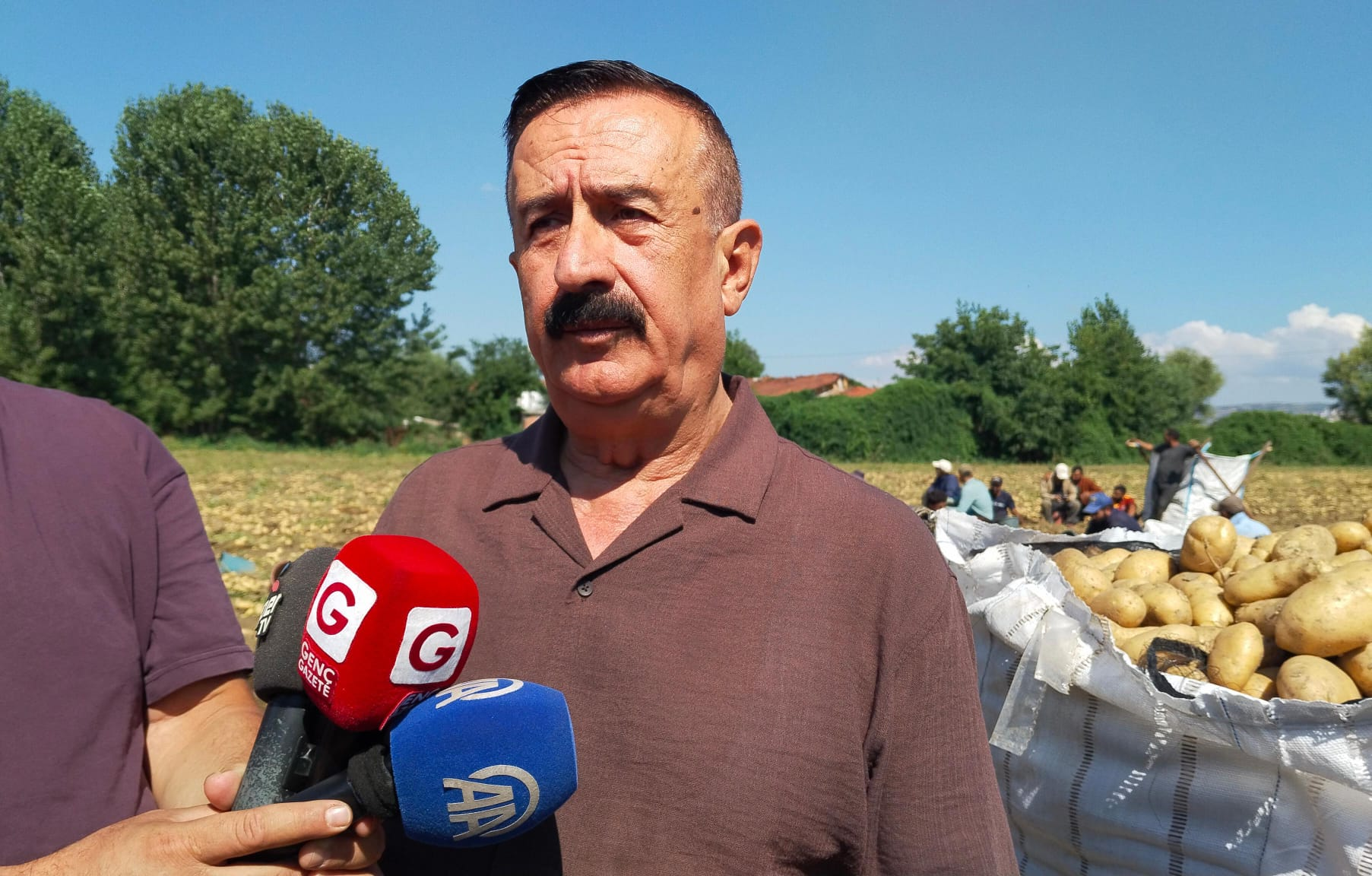 İnegöl'de Patates Hasadı Başladı! Başkan Sezai Çelik Herkesin Beklediği Rakamı Açıkladı (1)