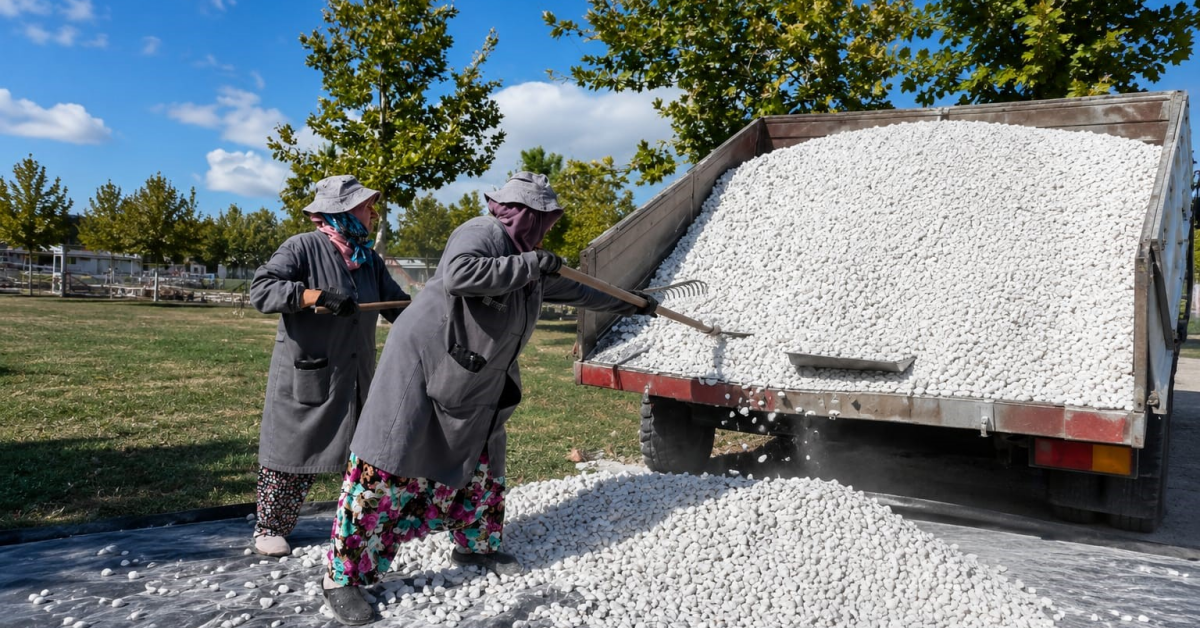 Karacabey’de Park Ve Yeşil Alanlarda Bakım Çalışmaları Sürüyor (4)