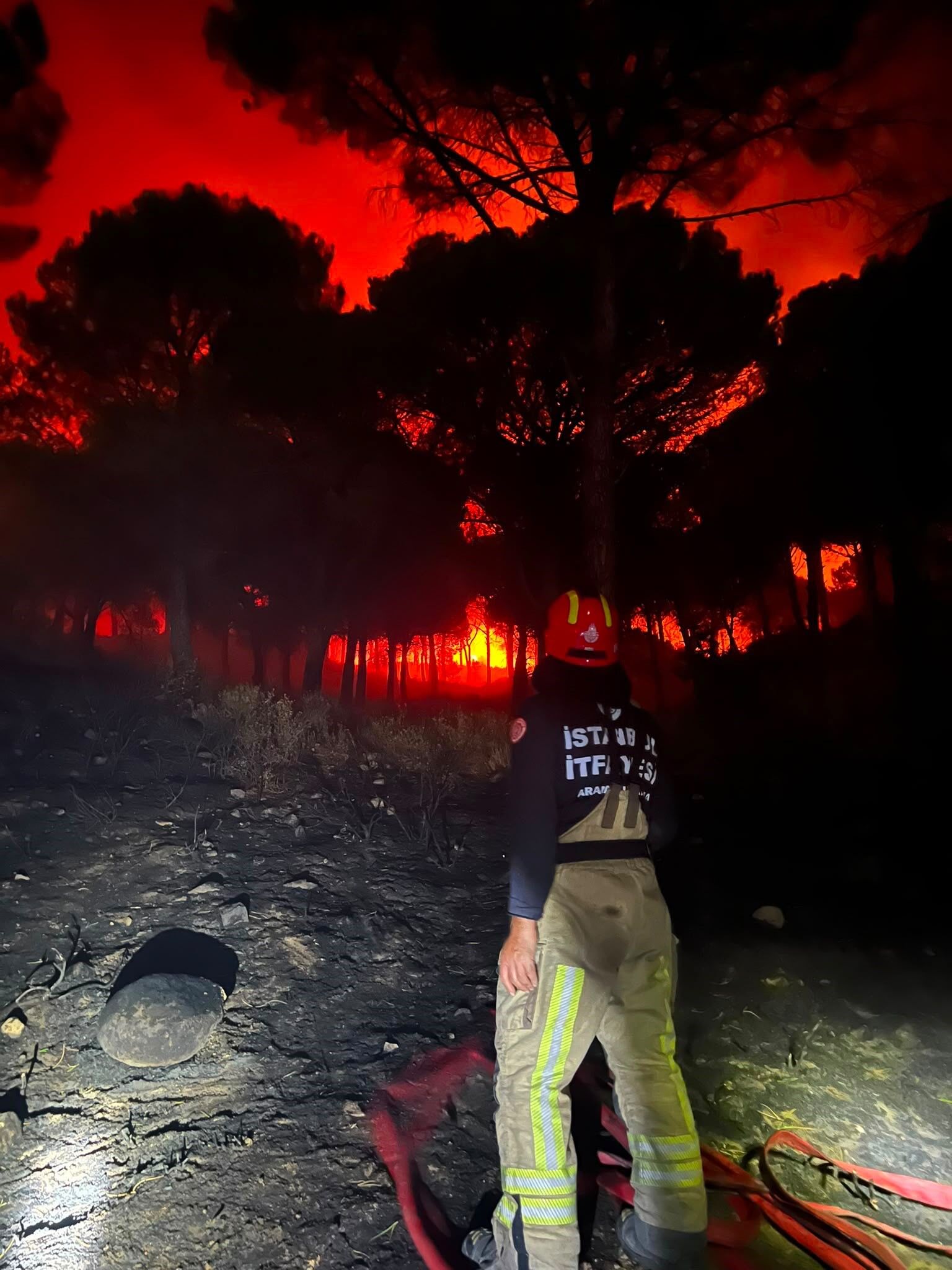 Balıkesir’deki Orman Yangınında Son Durum Balıkesir'deki Orman Yangını Neden Çıktı Tutuklamalar Var.. (1)-1