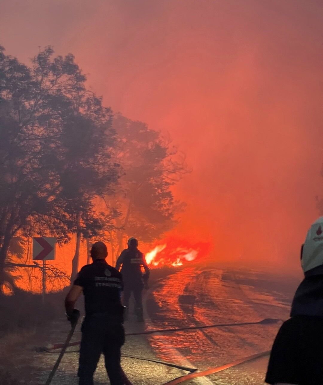 Balıkesir’deki Orman Yangınında Son Durum Balıkesir'deki Orman Yangını Neden Çıktı Tutuklamalar Var.. (2)