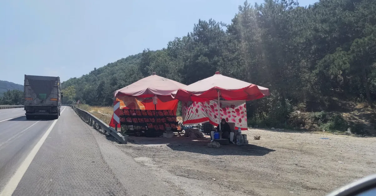 Bursa Ankara Yolundaki Köylü Pazarı Sürücülerin Uğrak Noktası Oldu (6)