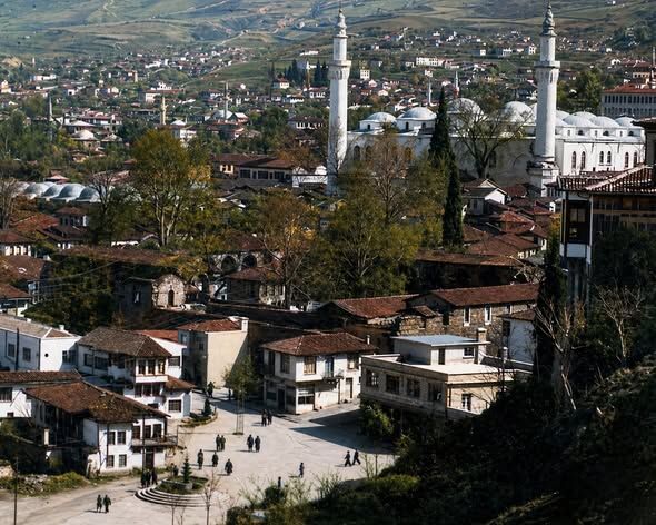 Bursa