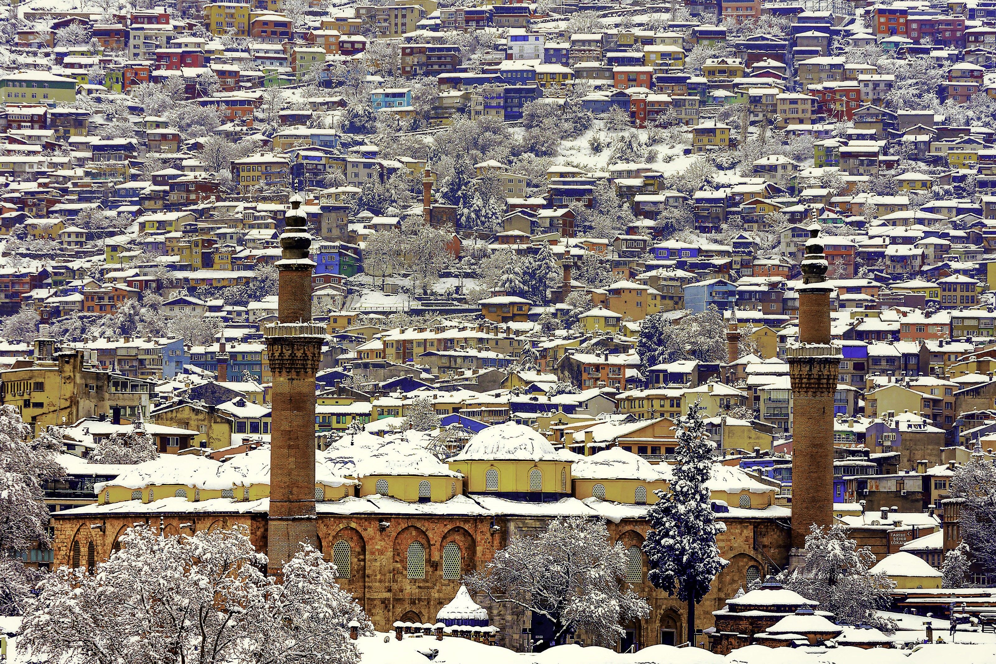 Bursa