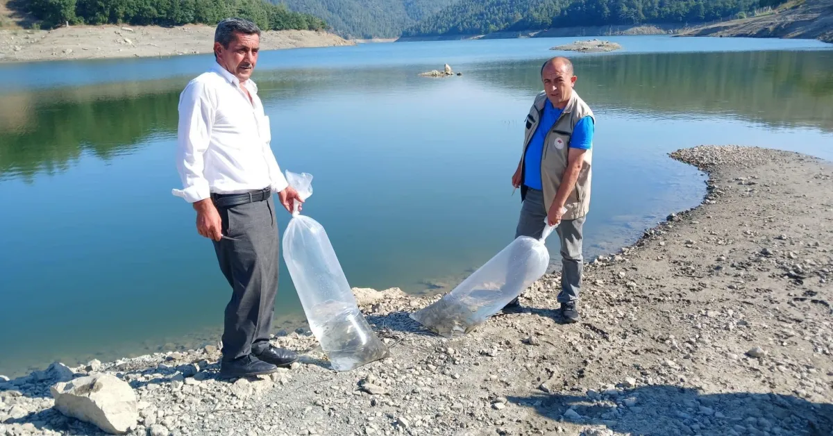 Bursa Orhaneli’de Göletlere Sazan Yavruları Bırakıldı (1)