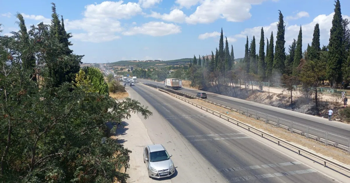 Bursa’da Anız Yangını İzmir Yoluna Ulaştı Trafik Bir Süre Durduruldu