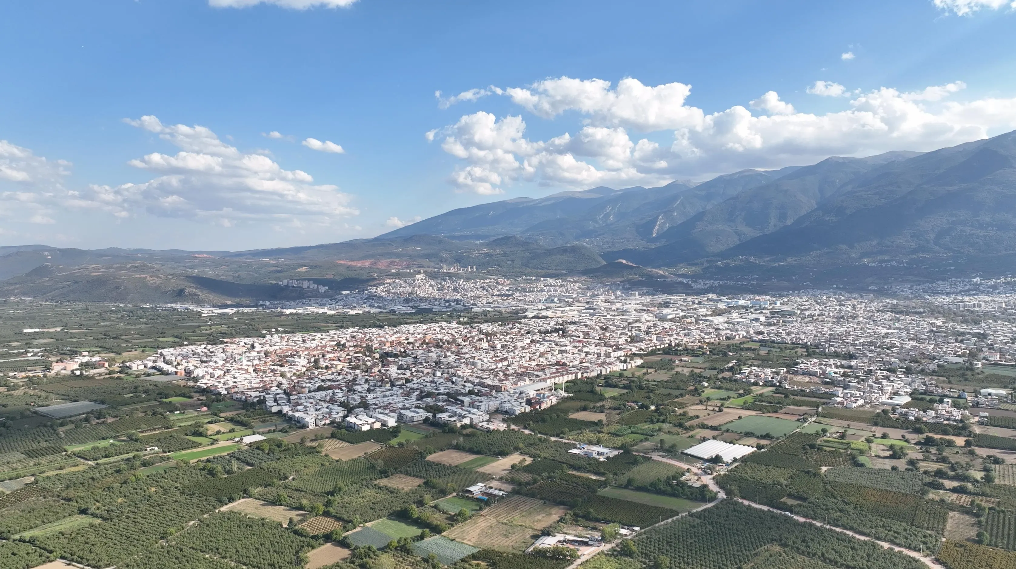 Bursa