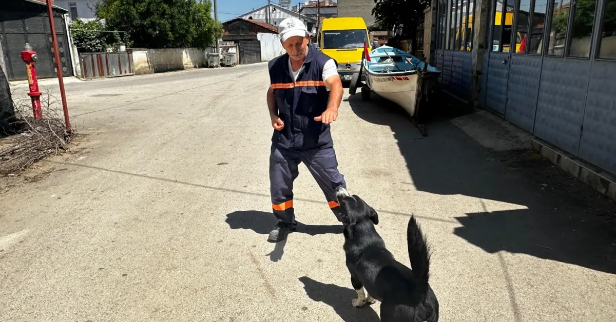 Bursa’da Sahibini Kaybeden “Dayı”Ya 2 Yıldır Yusuf Başaran Sahip Çıkıyor (1)