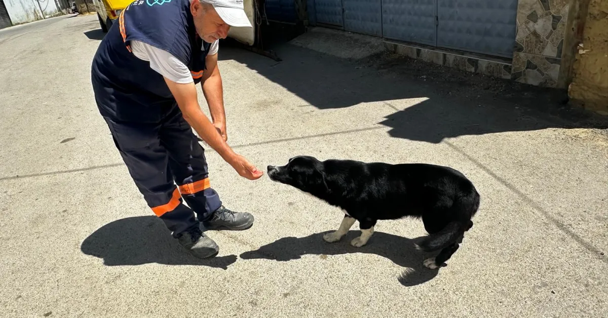 Bursa’da Sahibini Kaybeden “Dayı”Ya 2 Yıldır Yusuf Başaran Sahip Çıkıyor (2)