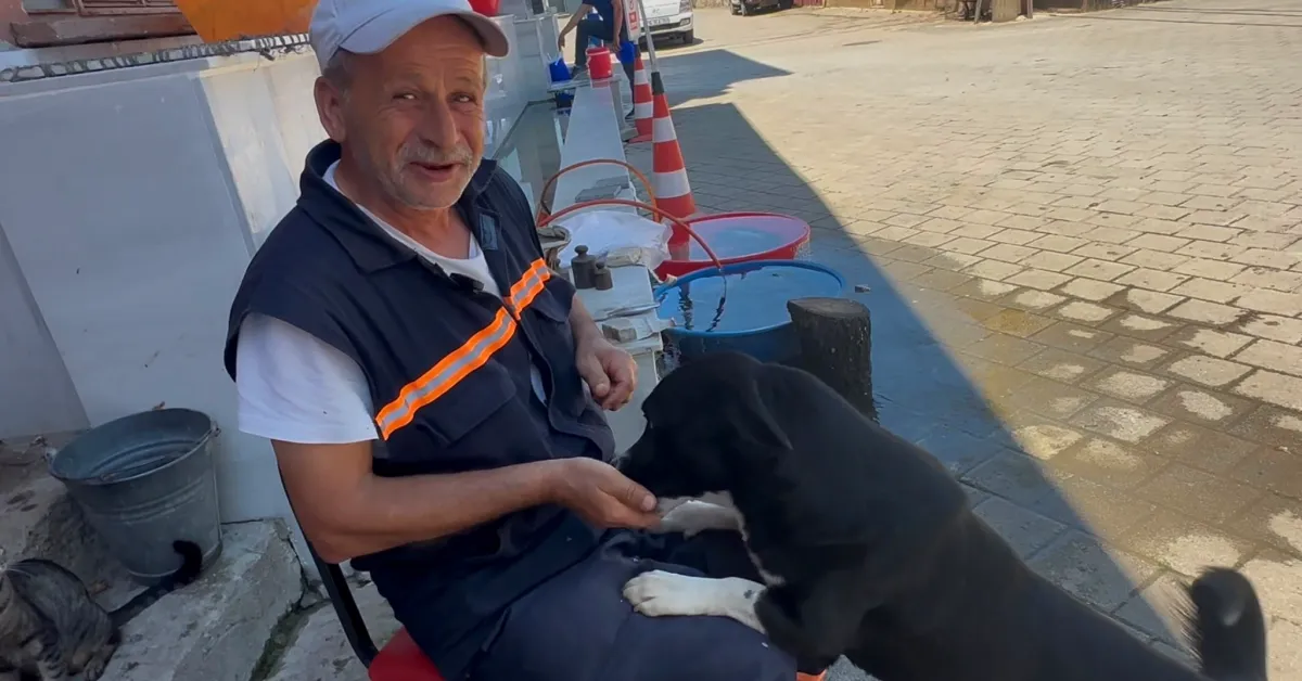 Bursa’da Sahibini Kaybeden “Dayı”Ya 2 Yıldır Yusuf Başaran Sahip Çıkıyor (3)