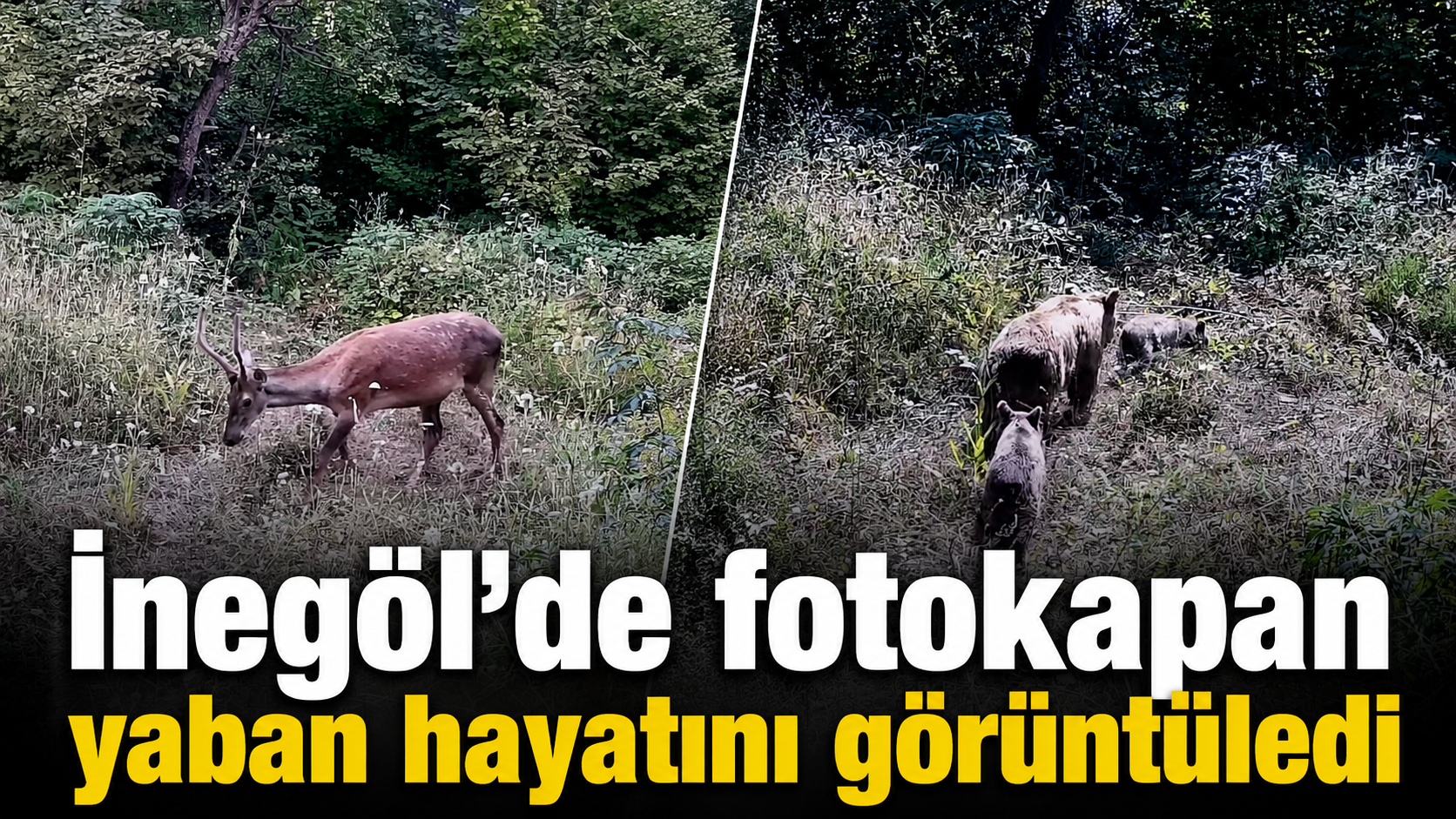 Chatgpt Image 26 Ağu 2026 13 59 40