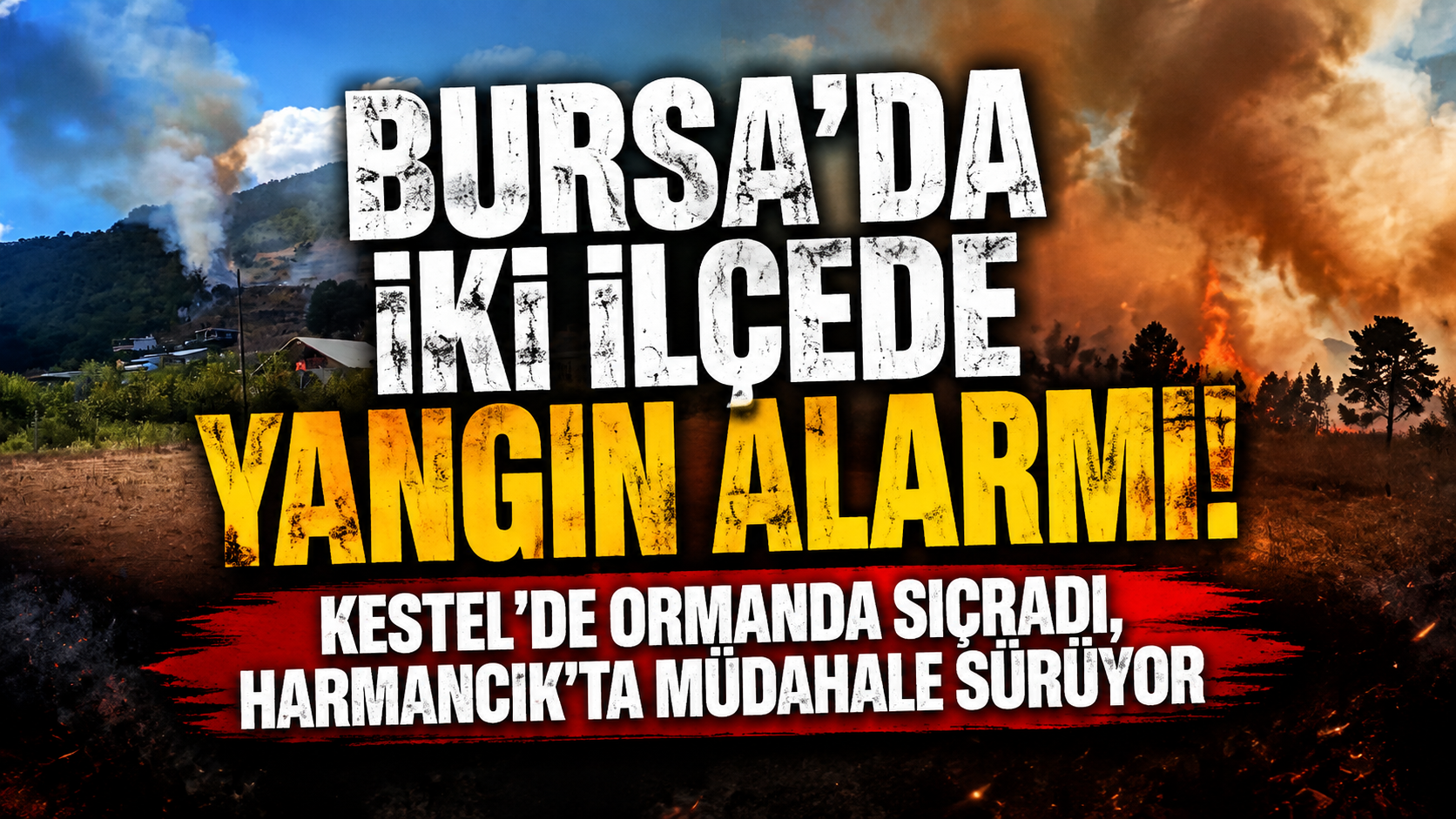 Bursa