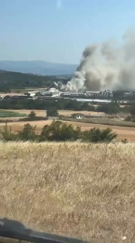 Genç Gazete Bursa’da Tavuk Çiftliğinde Yangın-1