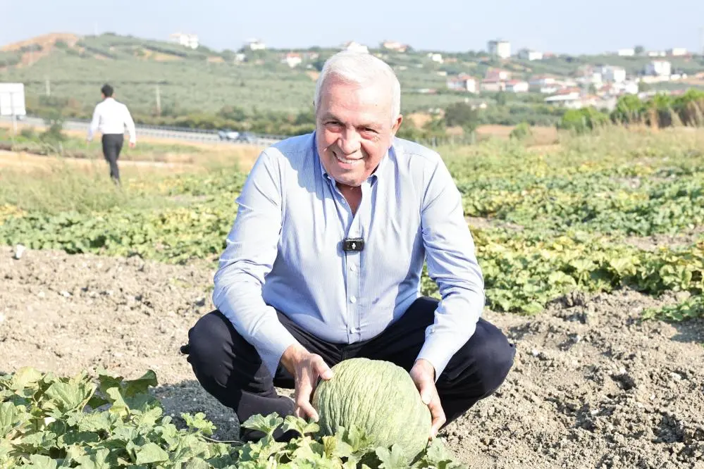 Genç Gazete Bursa’nın “Hırsız Almaz Kavunu” Için Coğrafi Işaret Hazırlığı Başladı (1)