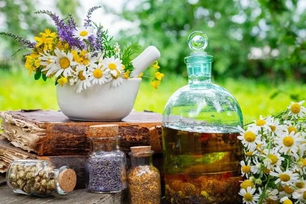 Genç Gazete Esansiyel Yağlar Nedir İşte En Çok Kullanılan Yağlar Ve Faydaları (1)