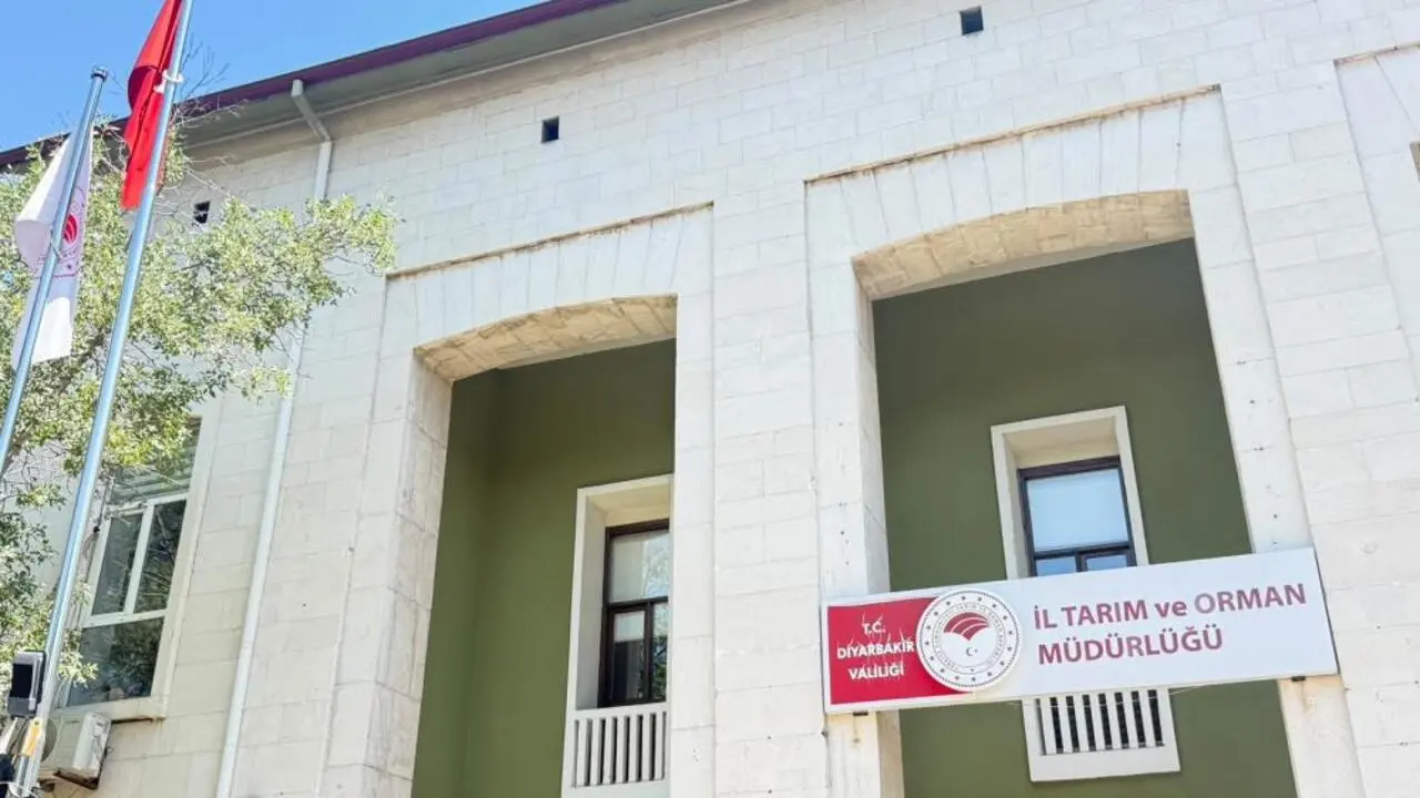 Genç Gazete Kedinin Isırdığı 4 Yaşındaki Çocuk Entübe Edildi! Kuduz Testi Pozitif Çıktı (3)