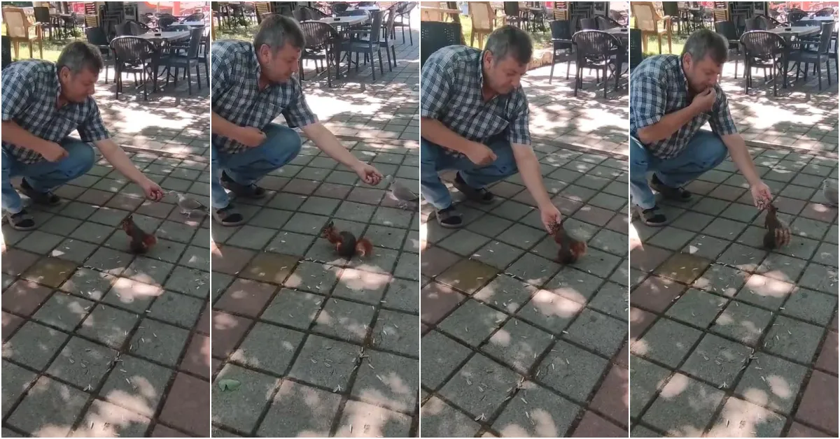 İnegöl’de Sincap Ve Kumruyu Elleriyle Besledi