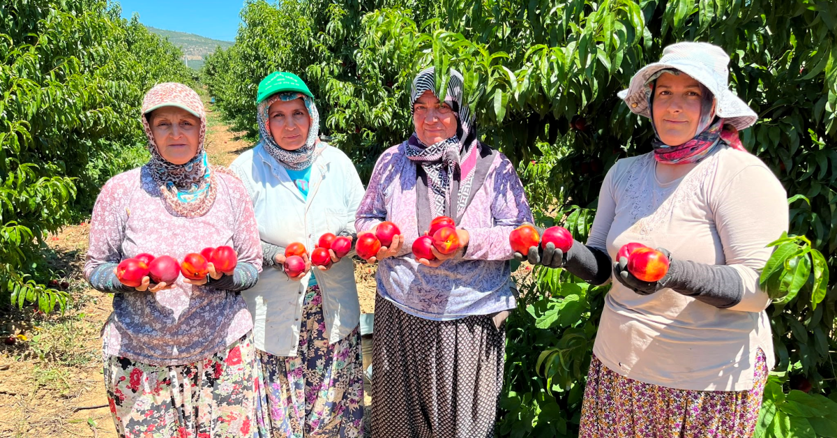 Bursa