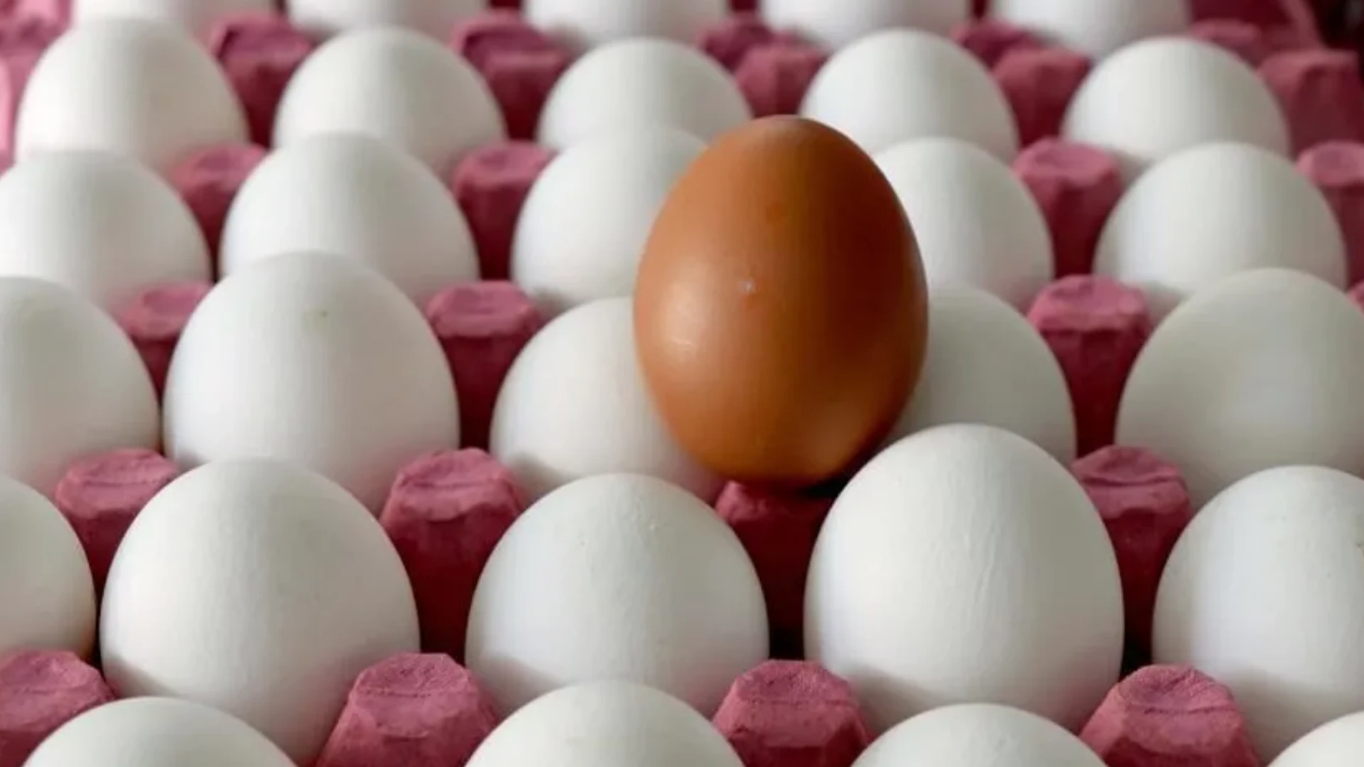 Kahvaltı Sofralarının Vazgeçilmeziydi! Yumurtalarda Salmonella Alarmı (2)