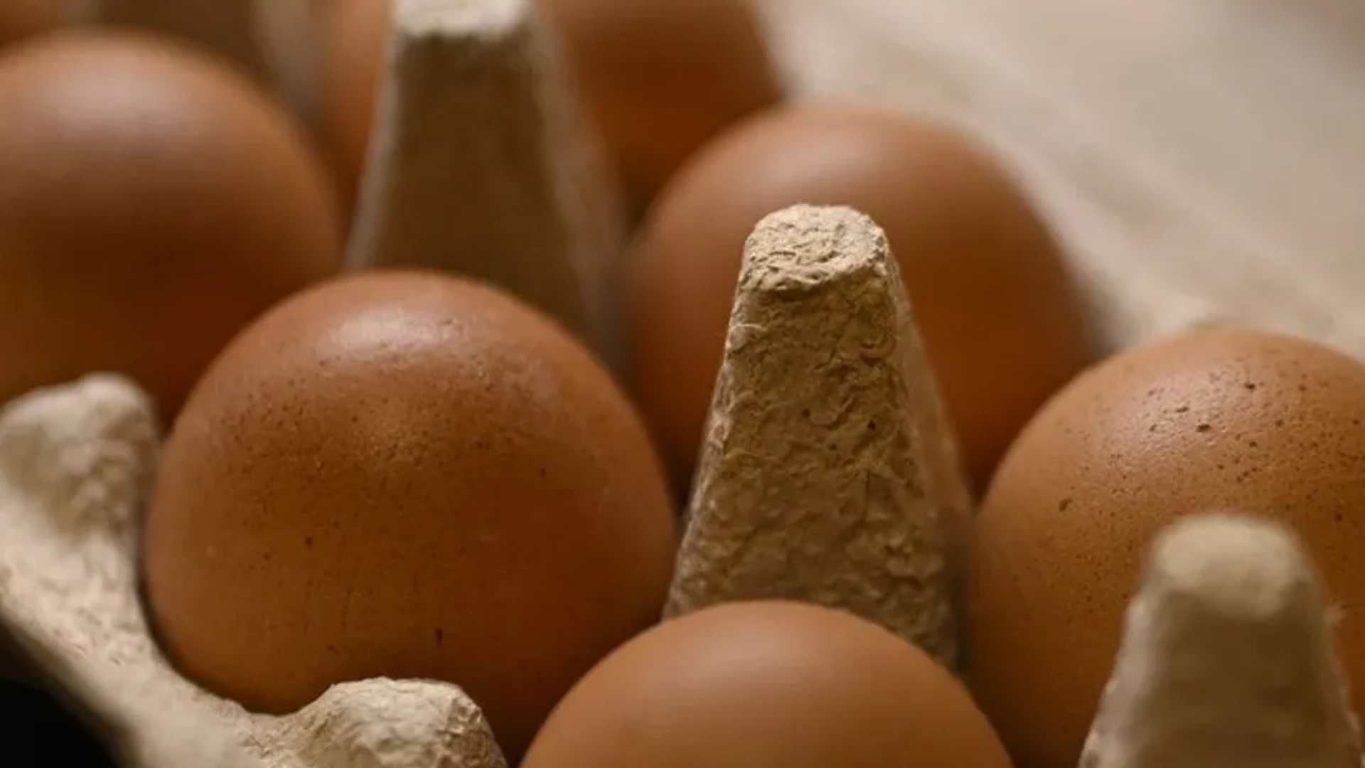 Kahvaltı Sofralarının Vazgeçilmeziydi! Yumurtalarda Salmonella Alarmı (3)