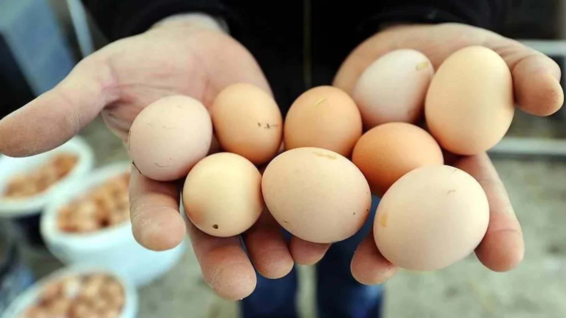 Kahvaltı Sofralarının Vazgeçilmeziydi! Yumurtalarda Salmonella Alarmı (5)