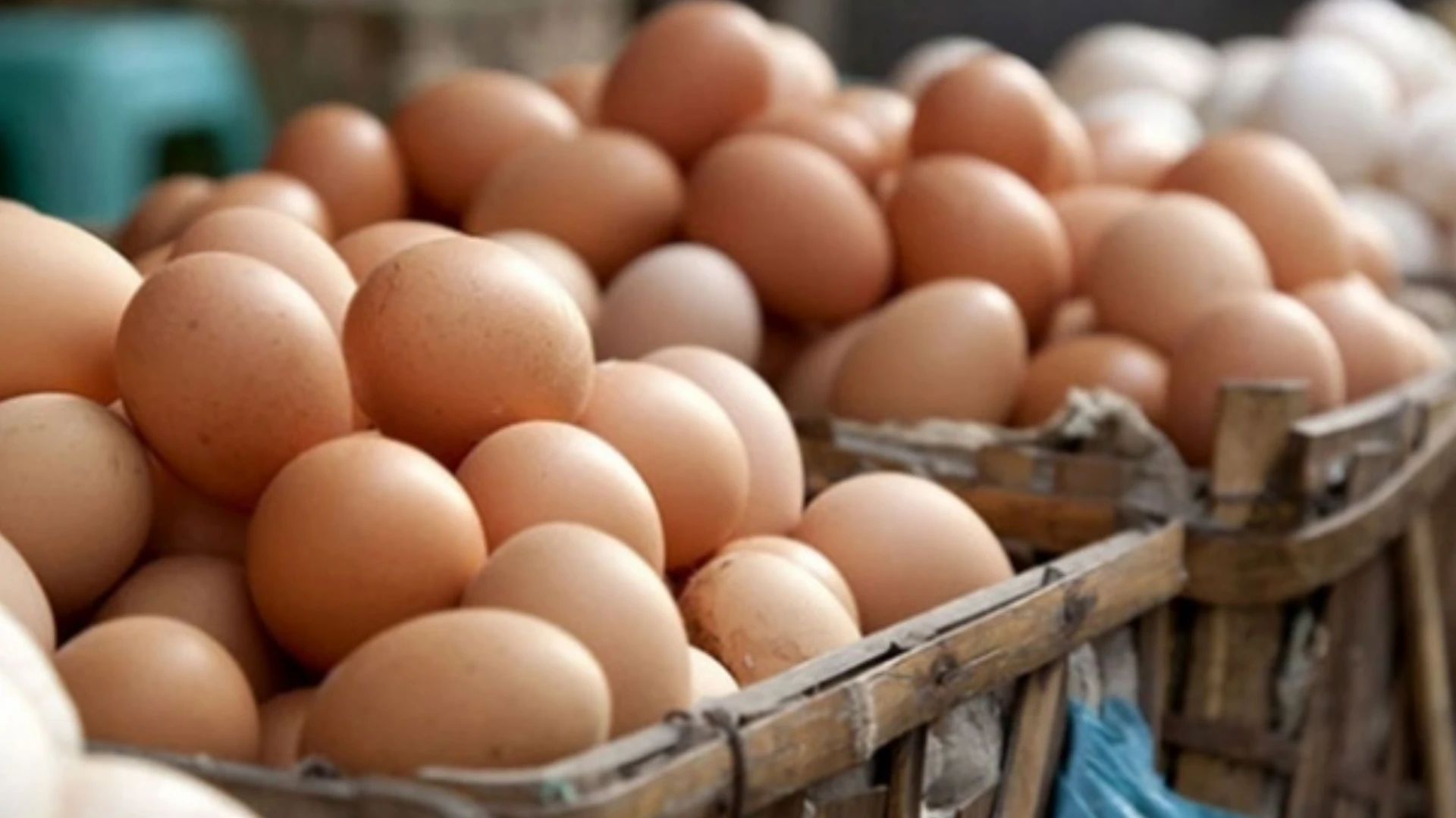 Kahvaltı Sofralarının Vazgeçilmeziydi! Yumurtalarda Salmonella Alarmı (6)