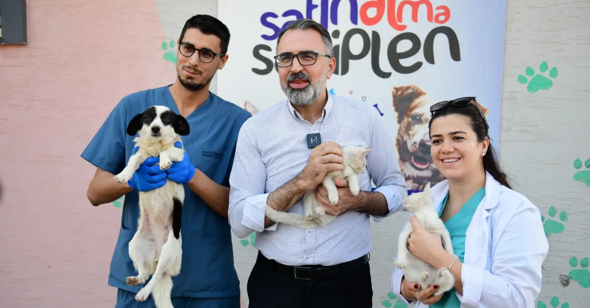 Kestel’de Sokak Hayvanları Dijital Platform Üzerinden Sahiplendiriliyor (2)