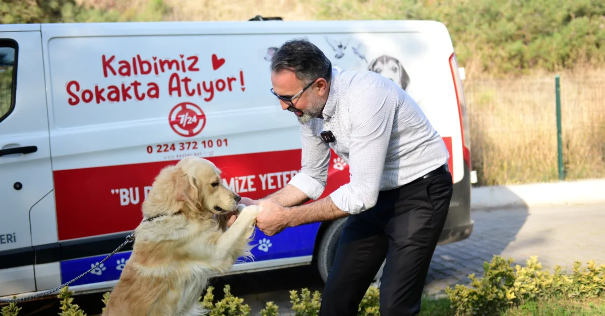 Kestel’de Sokak Hayvanları Dijital Platform Üzerinden Sahiplendiriliyor (4)