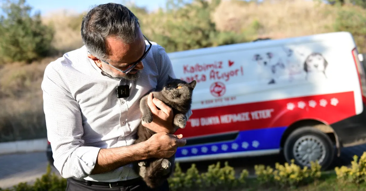 Kestel’de Sokak Hayvanları Dijital Platform Üzerinden Sahiplendiriliyor (5)