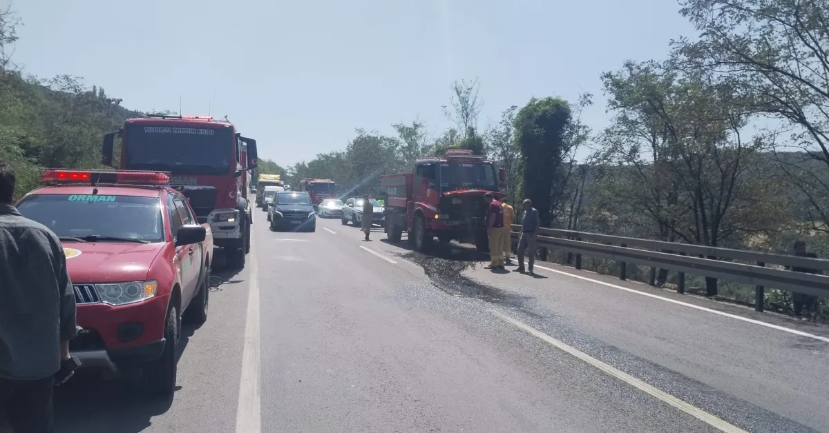 Kestel'de Ümitalan Mevkiinde Orman Yangını (2)