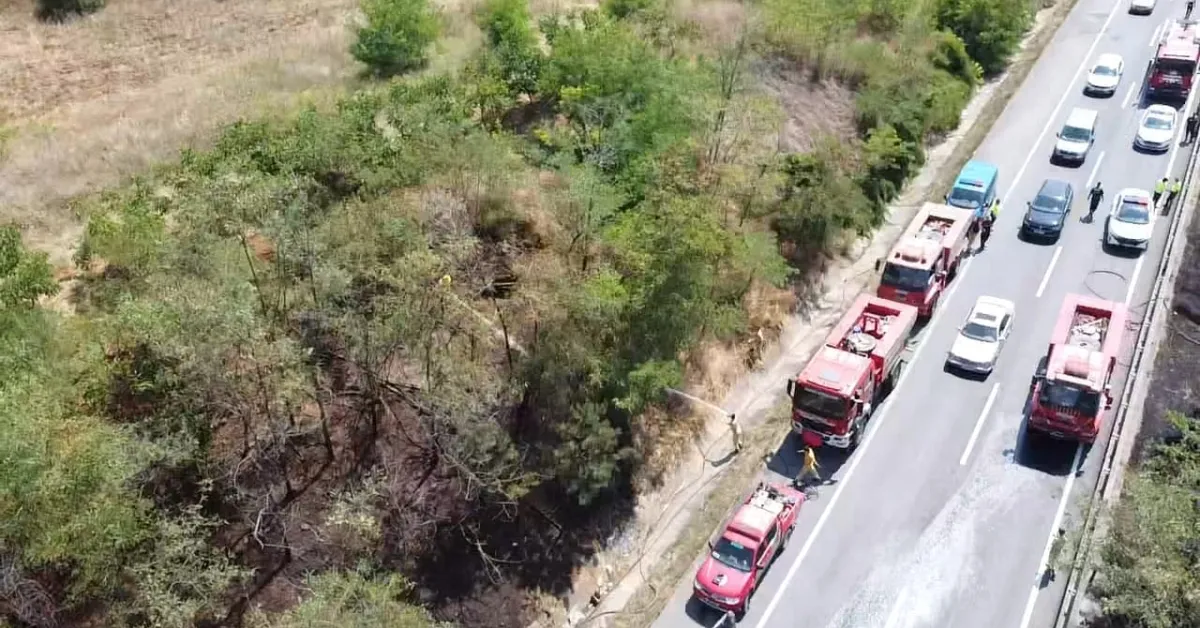 Kestel'de Ümitalan Mevkiinde Orman Yangını (3)