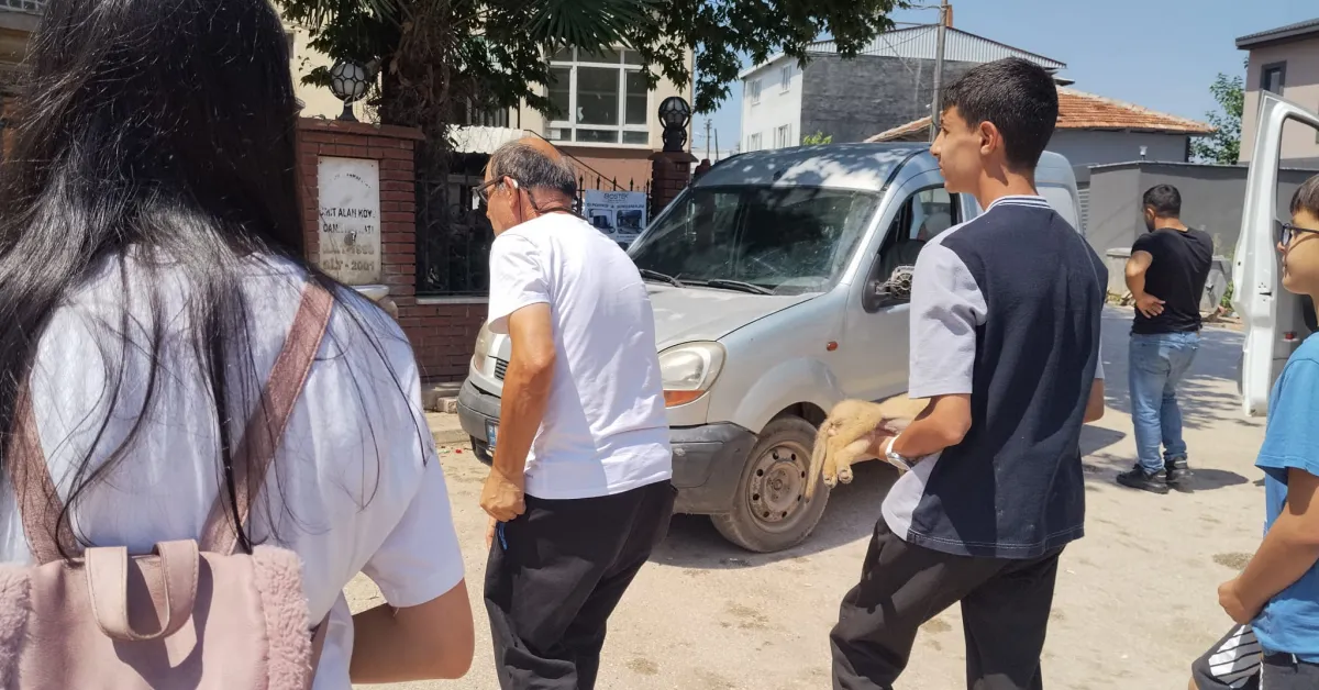 Kestel’de Yaralanan Yavru Köpeğin Başından Ayrılmadılar (2)