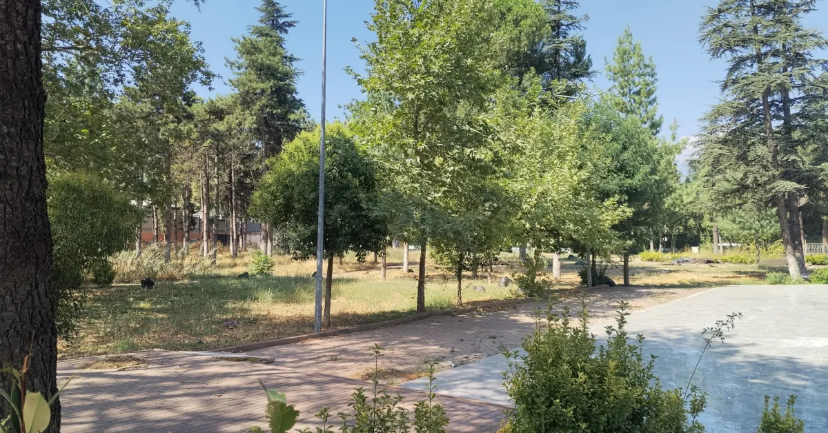 Kuğulu Parktaki Binalar Neden Yıkılıyor İşte Cevabı. (3)