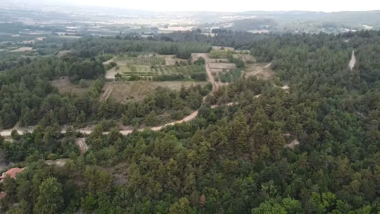 Orman Sınırında Kalan Tapular Için Yeni Dönem Bursa Ve İnegöl'deki Köylüleri Yakından Ilgilendiriyor (1)