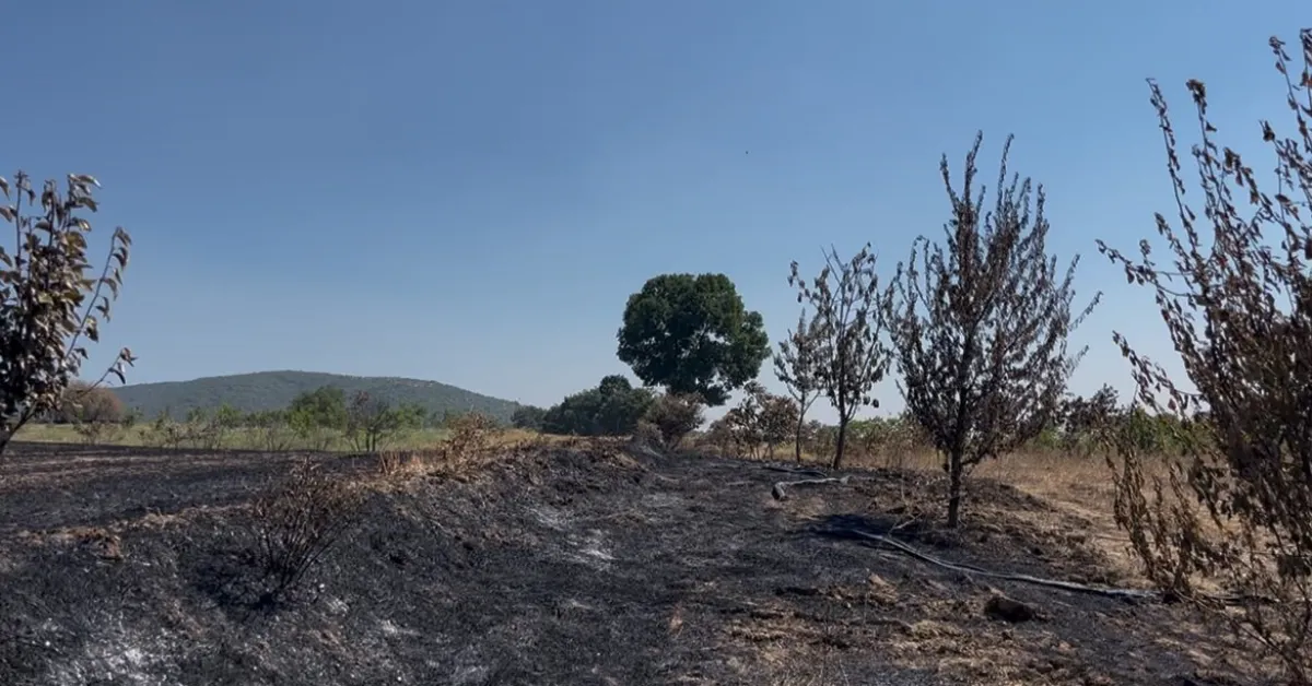 Yenişehir’de 65 Yaşındaki Hanife Teyze Yangına Müdahale Etti Koah Hastalığını Unuttu (2)