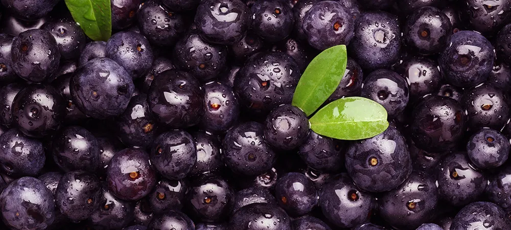 Açai Meyvesi Nedir? Açai Berry Faydaları Nelerdir, Kilo Verdirir Mi?