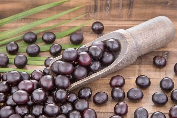 Açai Meyvesi Nedir? Açai Berry Faydaları Nelerdir, Kilo Verdirir Mi?1.Jpg