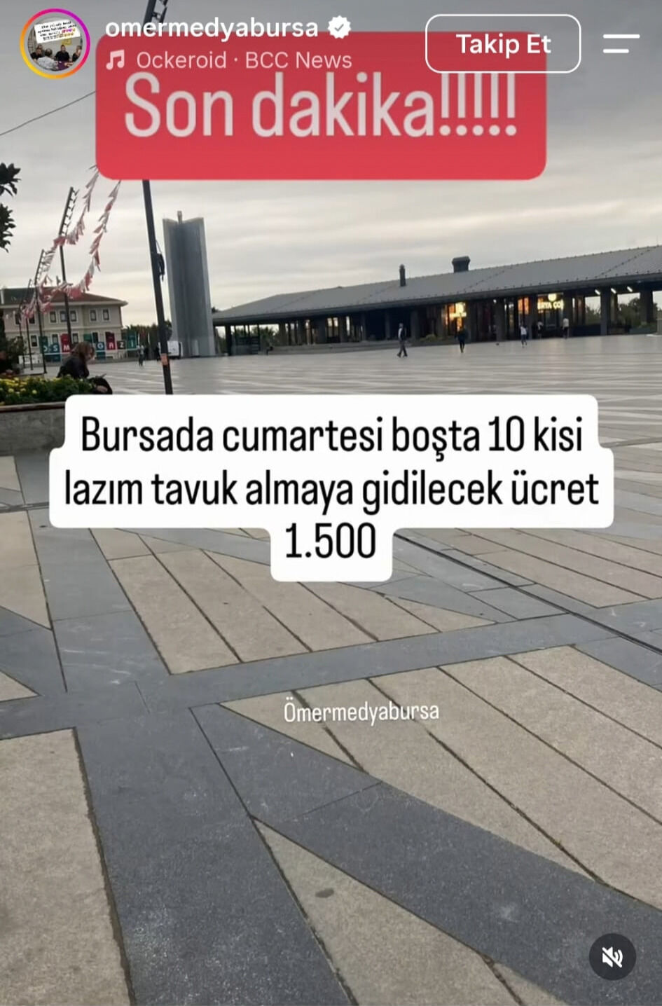 Bursa’da İlgi̇nç İlantavuk Almaya Gi̇decek 10 Ki̇şi̇ Araniyor!