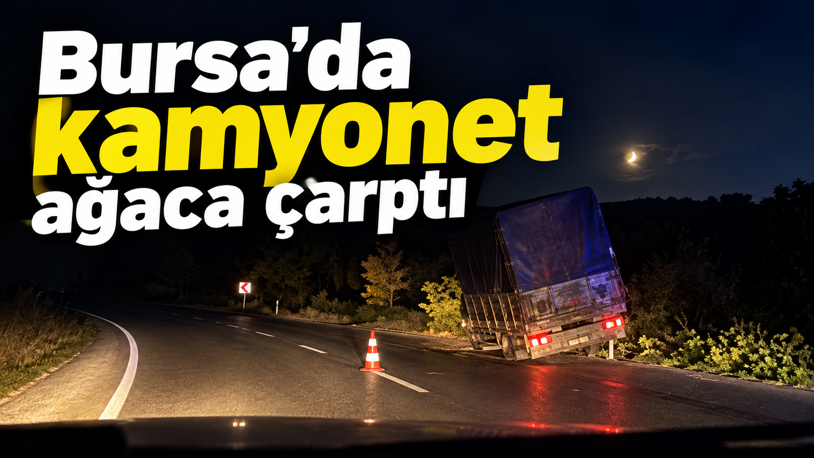 Bursa'da kamyonet ağaca çarptı !