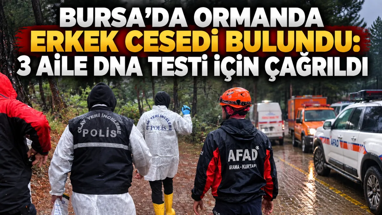 Bursa’da Ormanda Erkek Cesedi Bulundu 3 Aile Dna Testi Için Çağrıldı Gencgazete