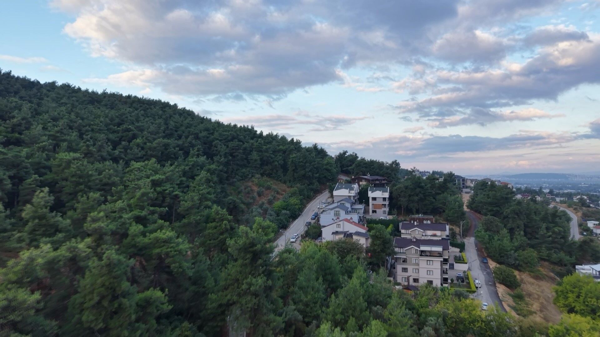 Bursa'nın O Mahallesinde 'Ayı' Korkusu (2)