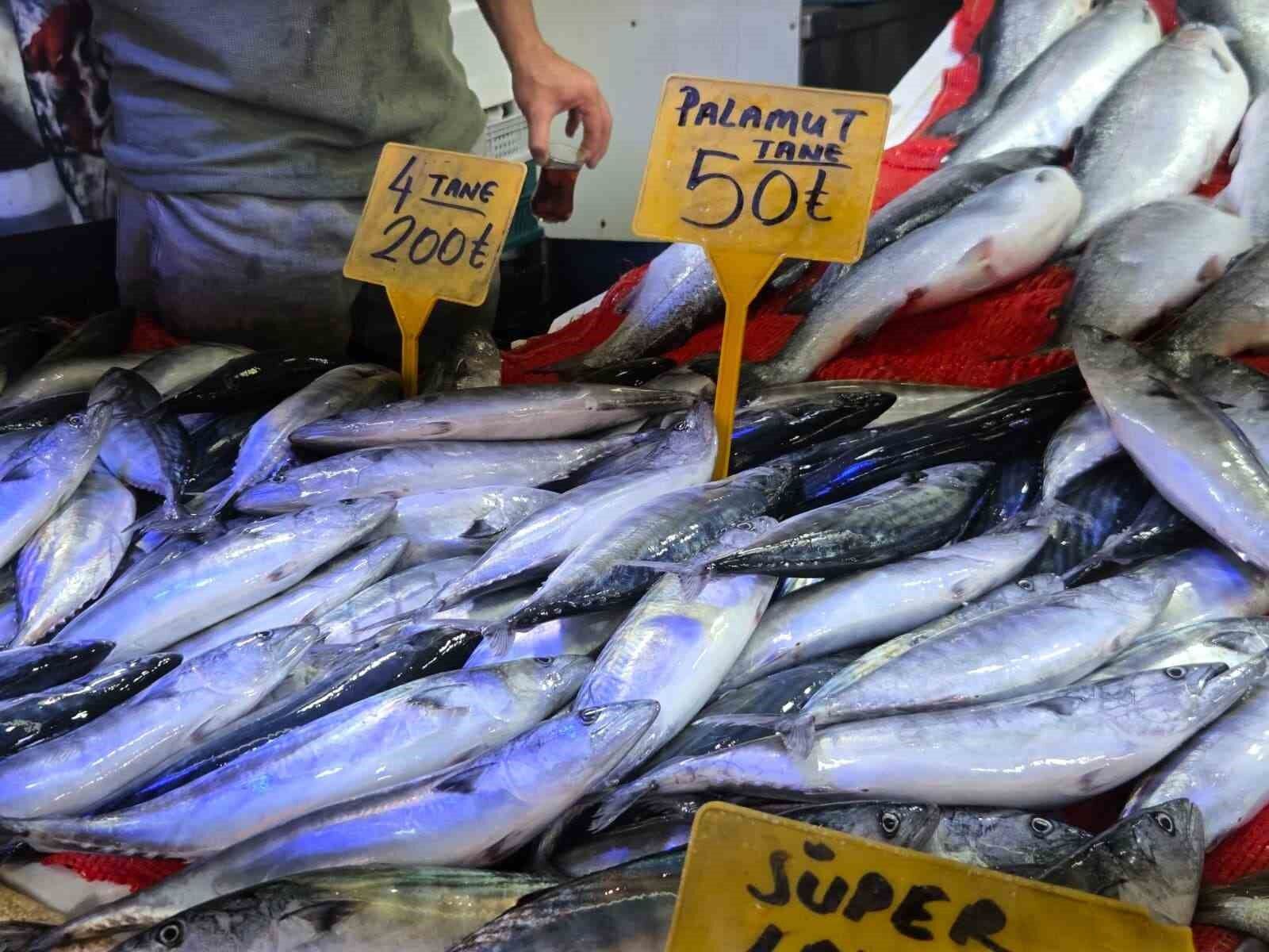 Denizlerimizde Balık Bolluğu Fiyatı 50 TL ye Kadar Düştü