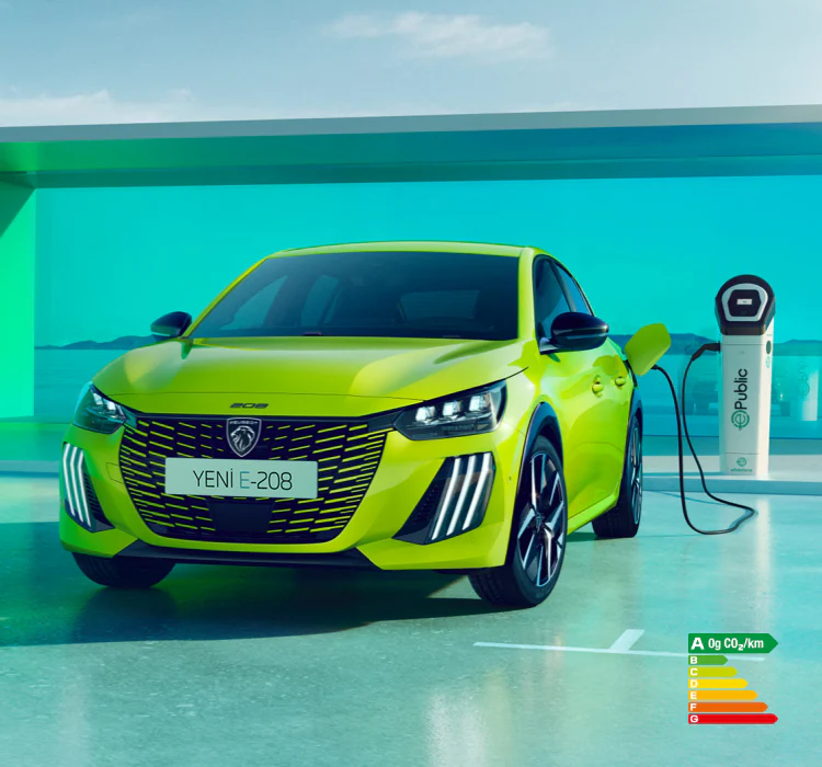 E 208 Electrique M.jpg