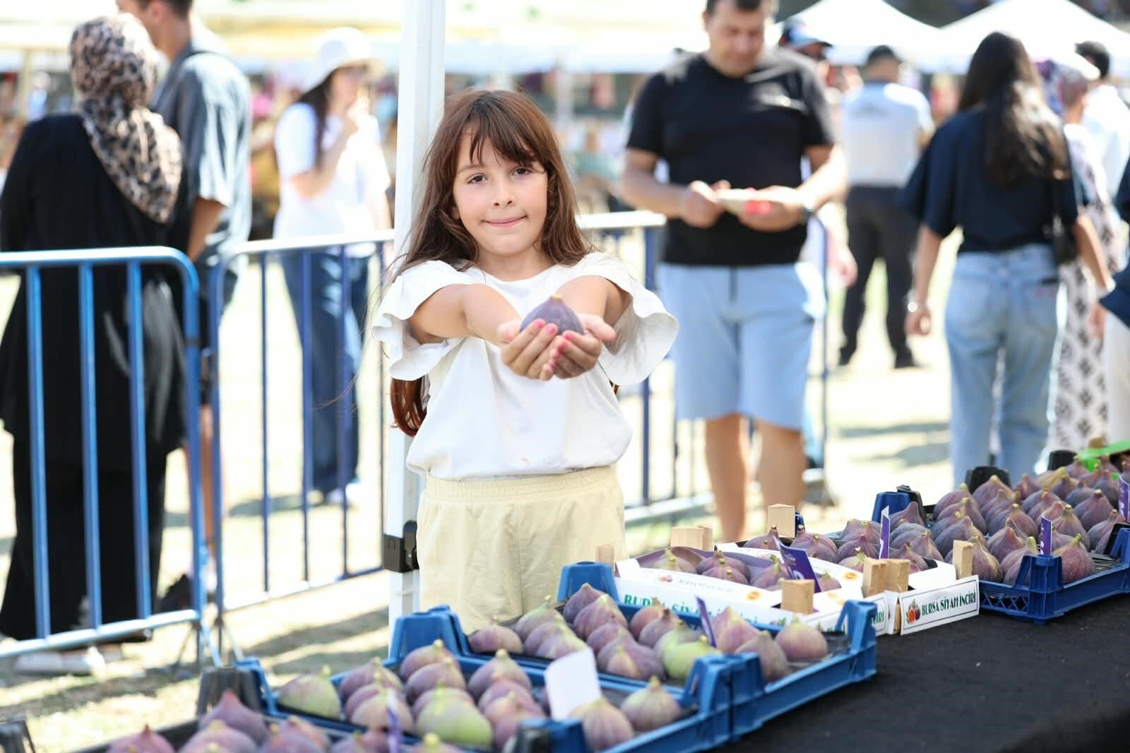 İnçi̇r Festi̇vali̇.1
