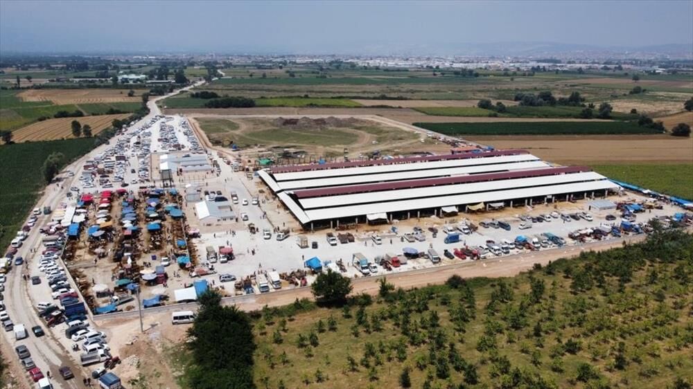 İnegöl Hayvan Pazarı Şap Hastalığı Nedeniyle Kapatıldı