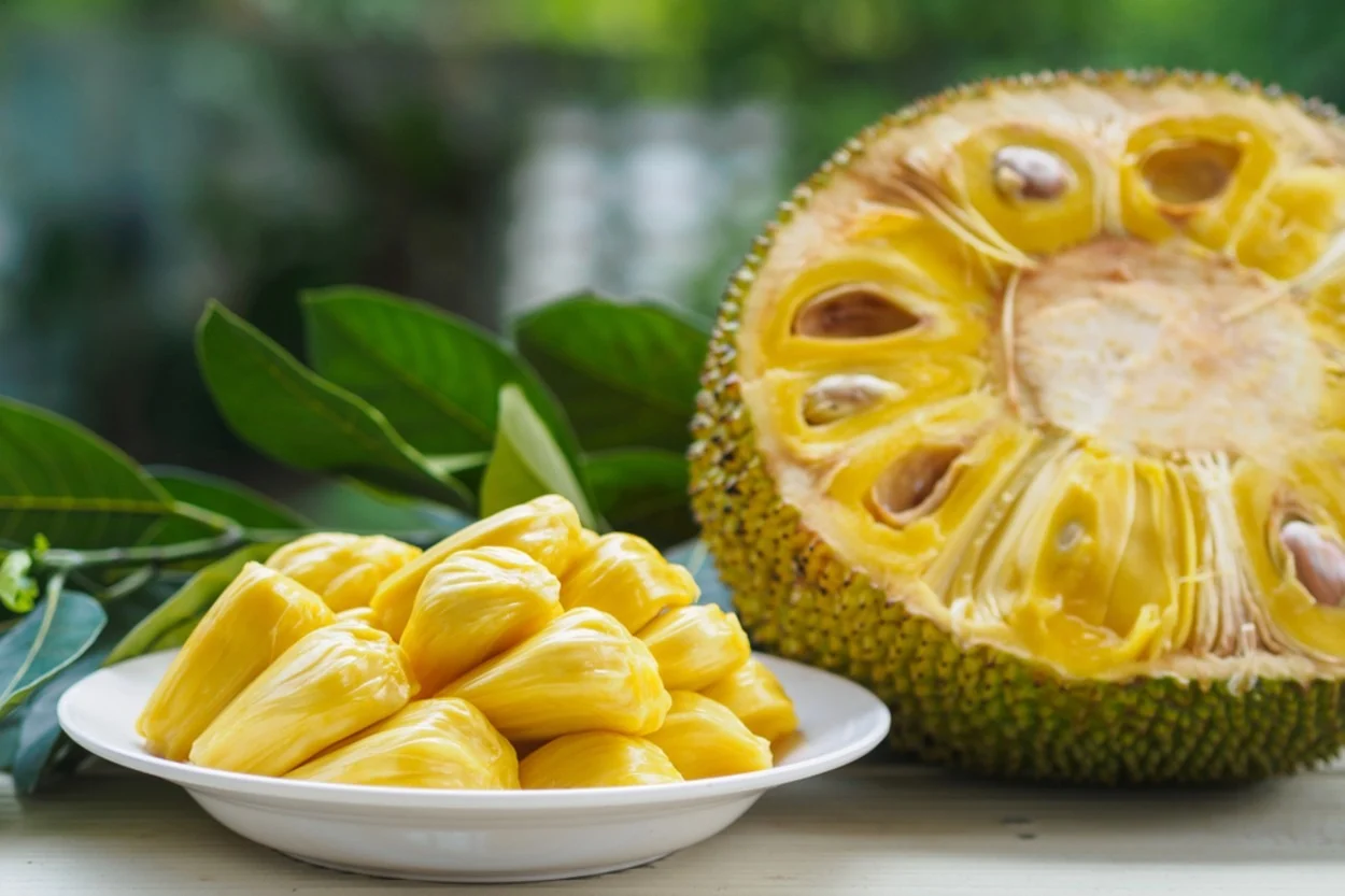 Jackfruit1