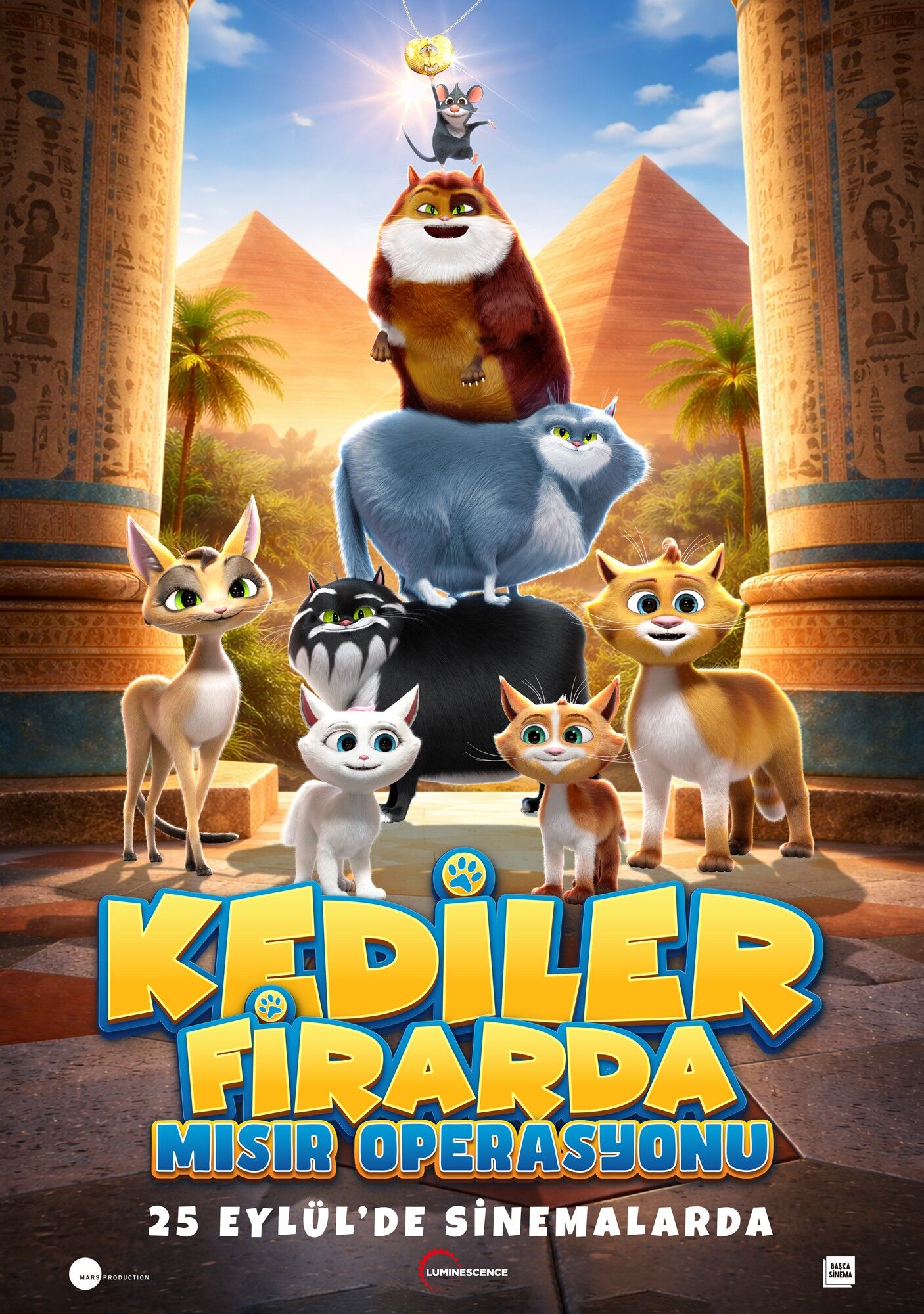 Kediler Firardamısır Operasyonu.png