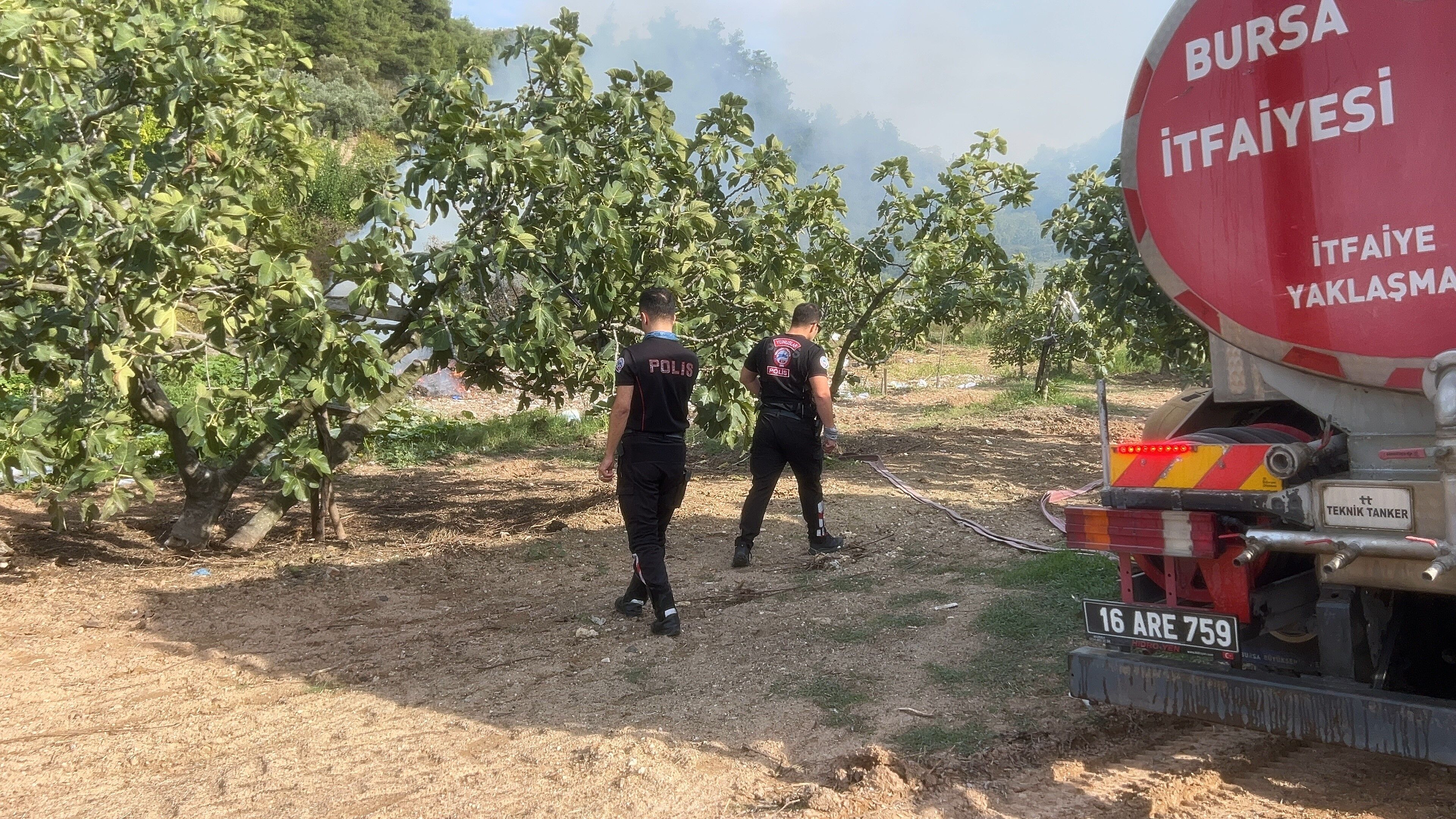 Mudanya’da Ormanlık Alan Alev Aldı (1)